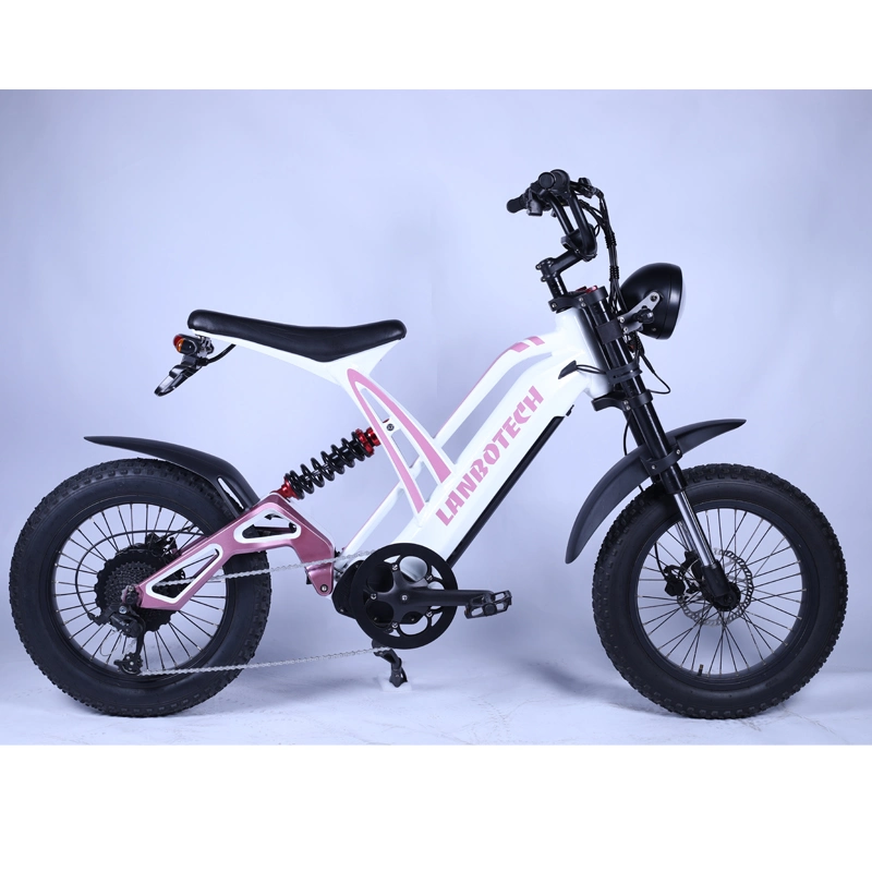 Retro Style Stealth Bomber Moped Fat Tire Electric Dirt Bike 5% Discount