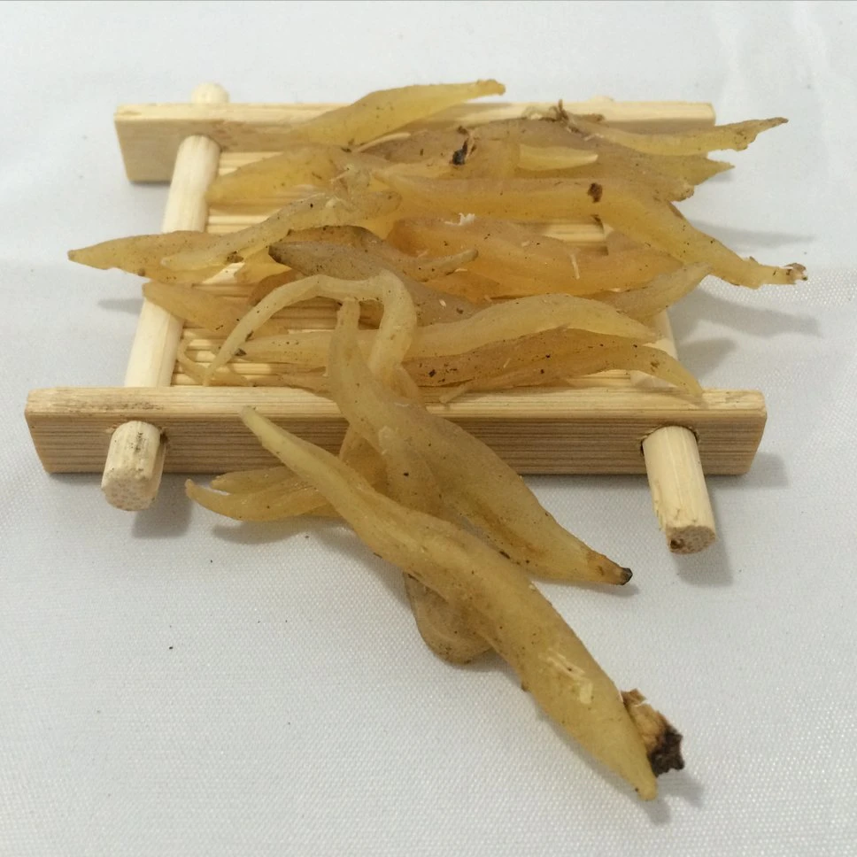 Tian Dong Natural Health Products Herb Medicine Asparagus Cochinchinensis Root