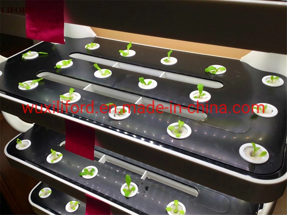 China Fabricante Home Hidroponia Sistema de cultivo de vegetais Nft