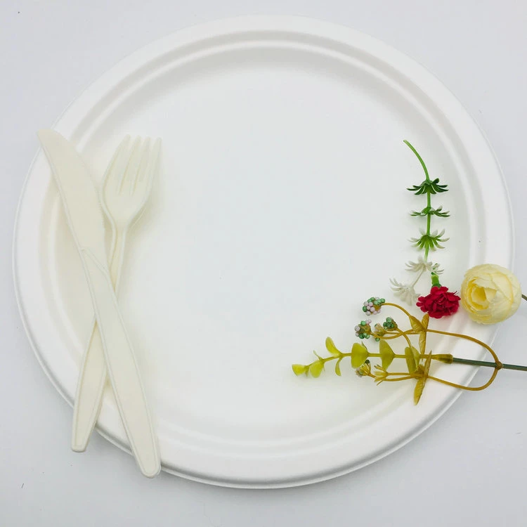 Custom Design Paper Plates Disposable Tableware