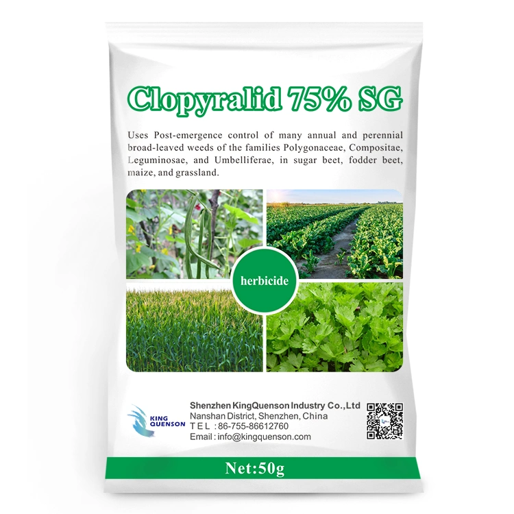 King Quenson Herbicide Crop Protection Clopyralid 95% Tc Clopyralid 75% Sg