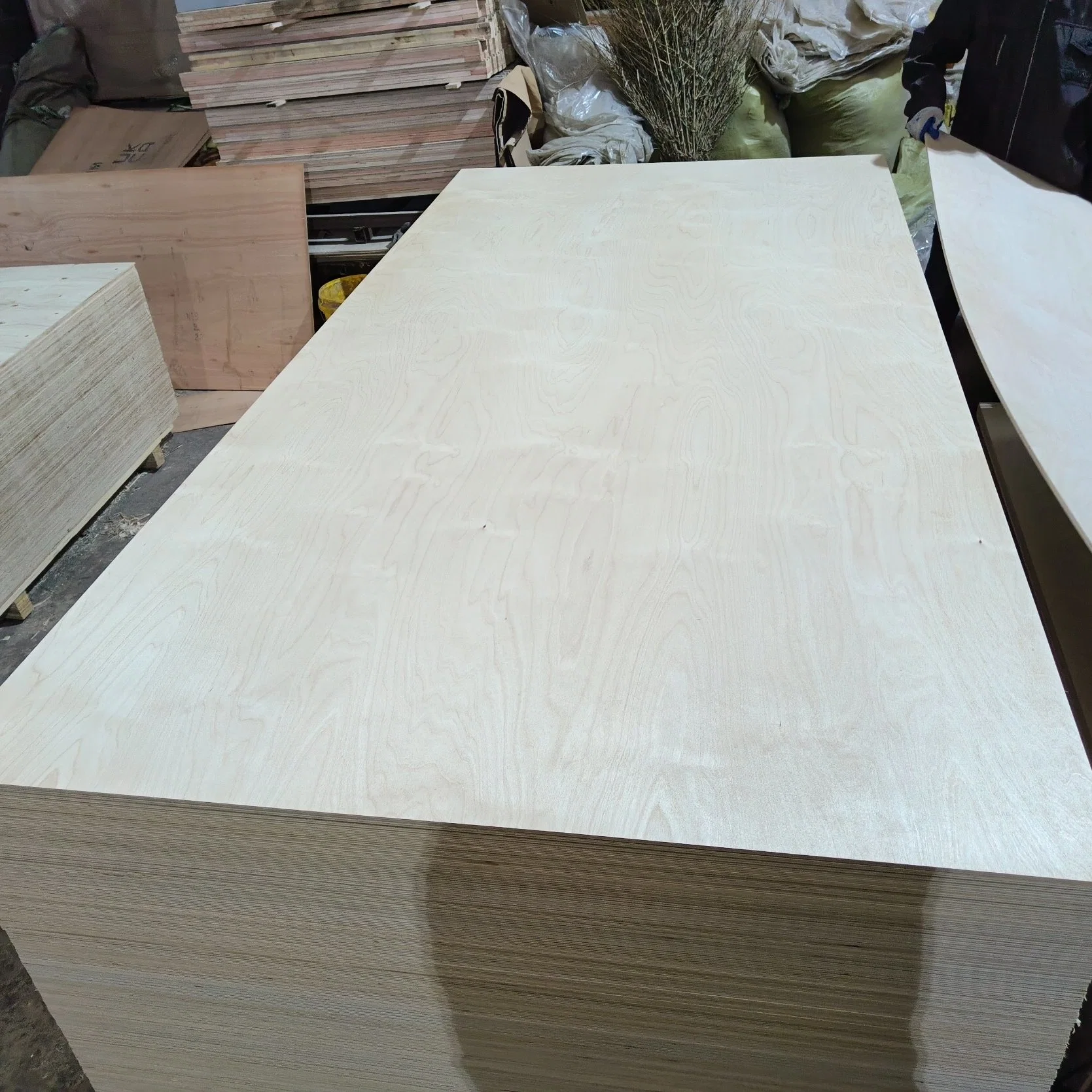 China Manufacturers Birch Wood Moisture Proof Plywood Sheet 18mm for Furniture