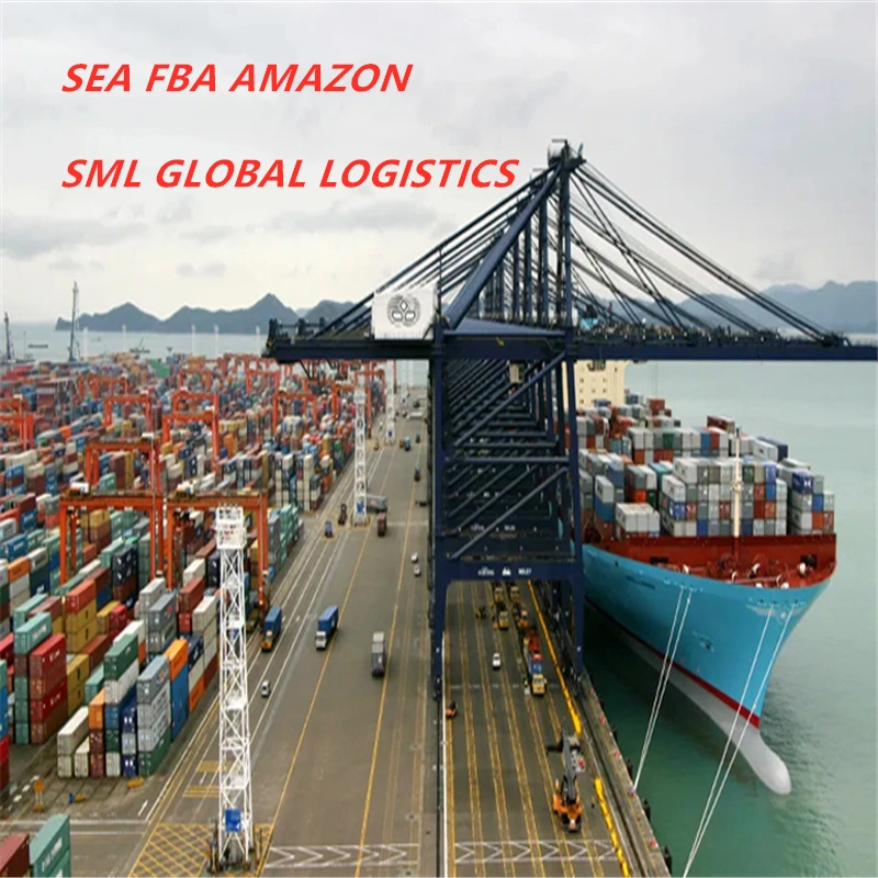 Prix d'expédition Best Sea Sreight compétitif Service logistique professionnel Chine DDP DDU CIF Amazon Expédié par Amazon États-Unis