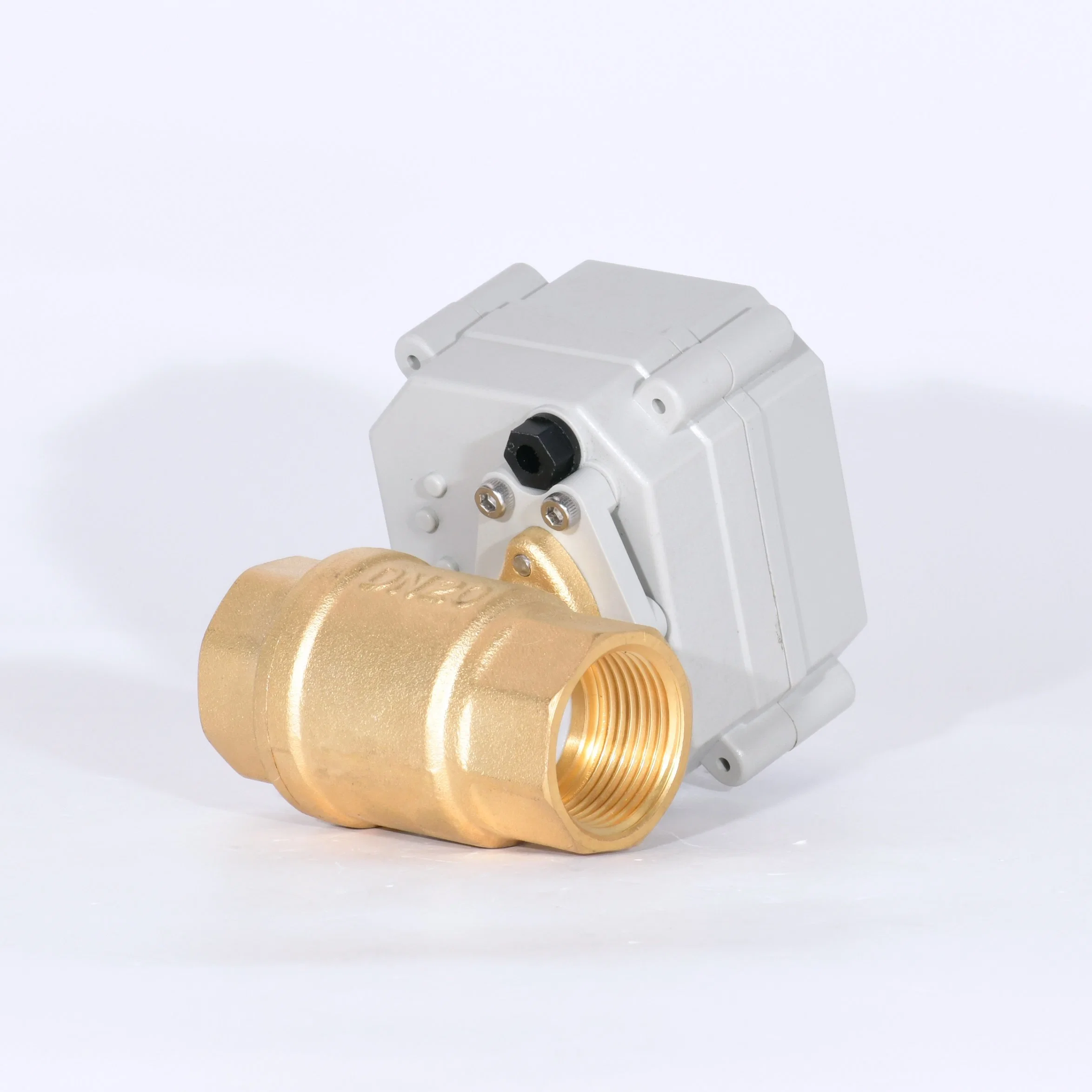 2 Way 3/4&prime; &prime; Brass Motorized Ball Valves for Water Clean System