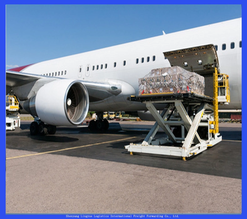 Cheap Air Freight Shipping Logistics to El Salvador, Brazil, Argentina, Algeria