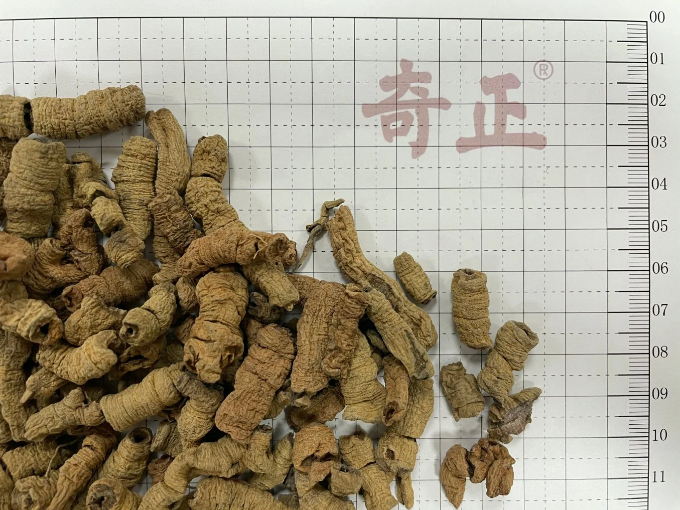 Bajitian Morindae Officinalis Radix Morinda Officinalis ervas tradicionais chinesas de alta qualidade