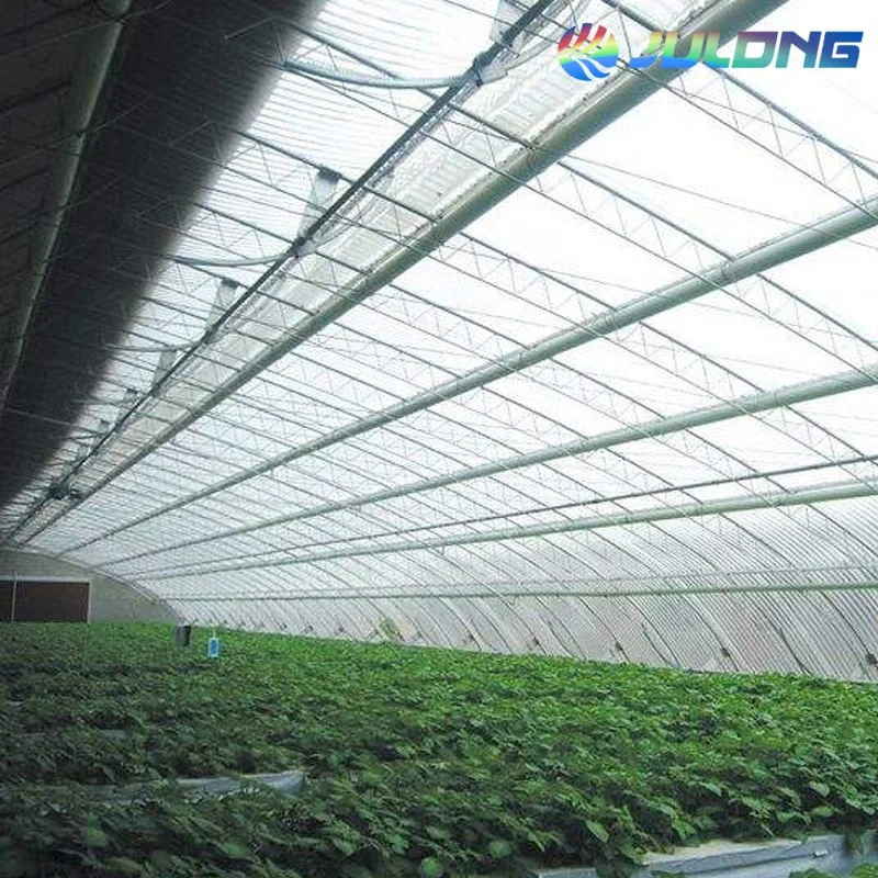 Low Cost Elliptical Tube Assembled Pofilm Cover Solar Greenhouse for Sale