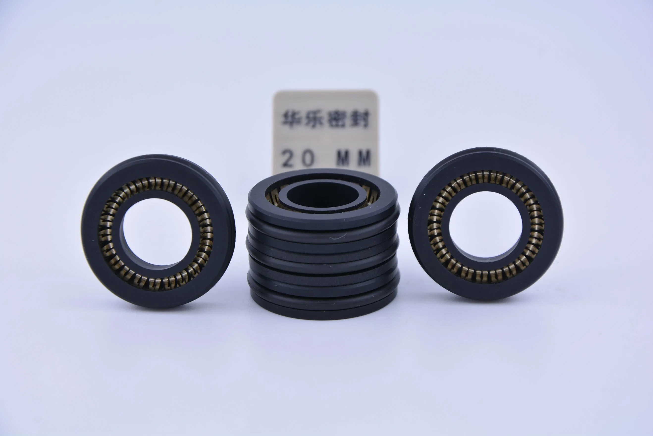 Spring Energized PTFE-Seals for High Pressure Equipment