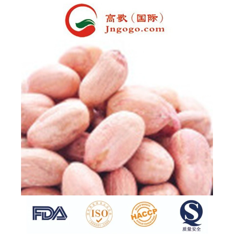 High quality/High cost performance /New Crop Peanut Kernals