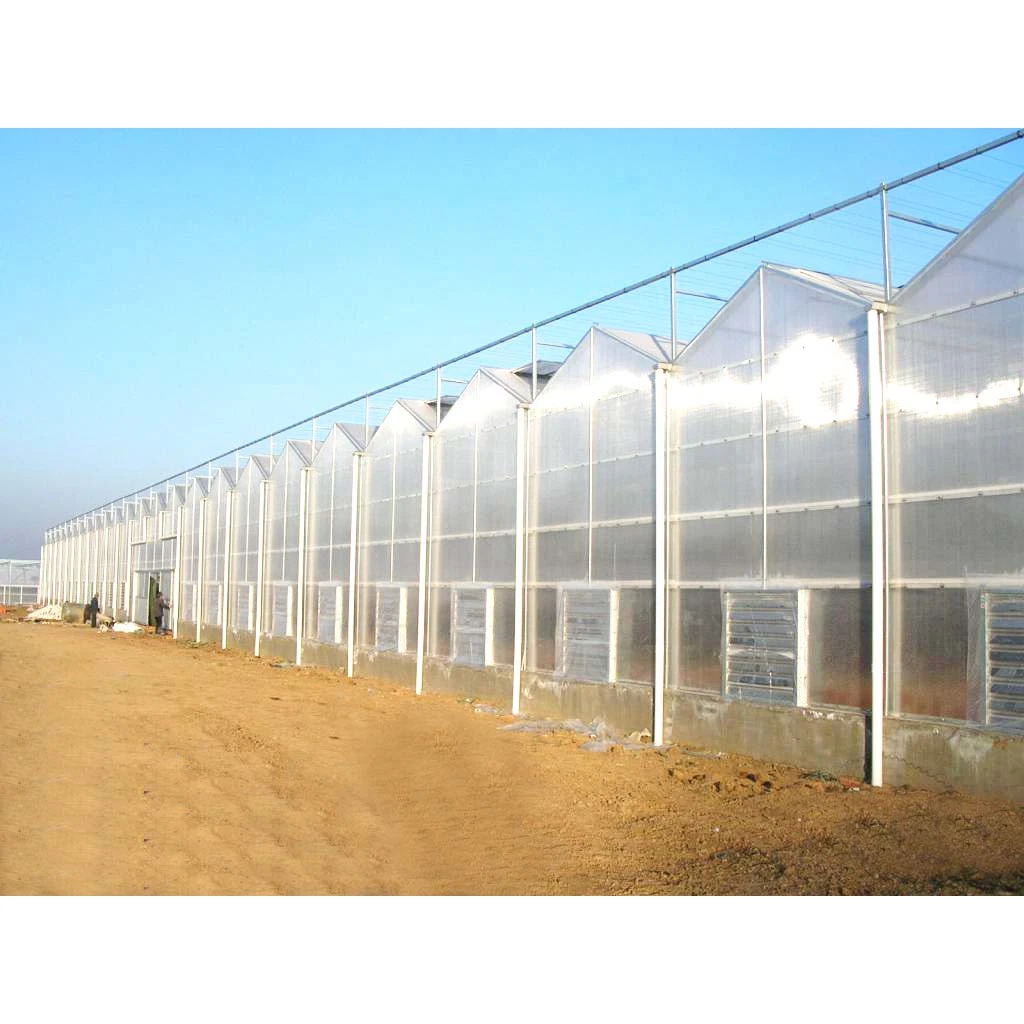 PC Sheet 8mm Polycarbonate Greenhouse Used for Sale