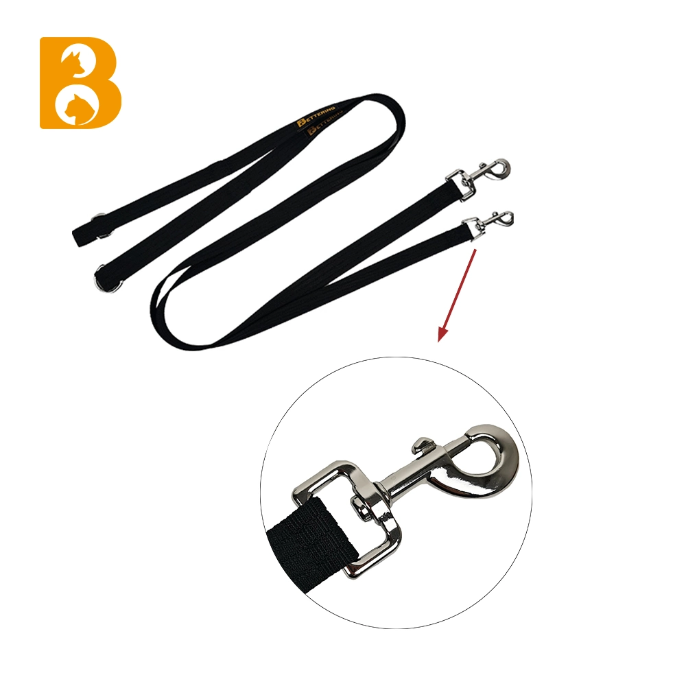 Collier pour chien assorti avec laisse pour l'entraînement de marche de haute qualité Fils de collier pour chien en nylon PET