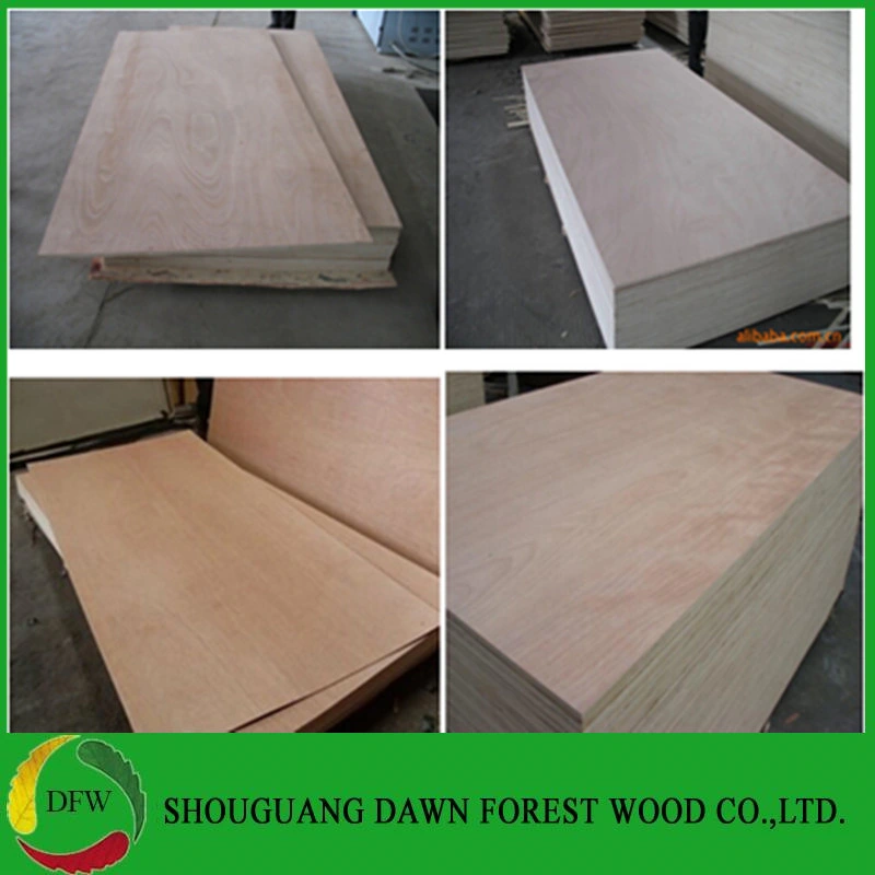 4mm 12mm 16mm 18mm Bintangor/Okoume Veneered Poplar Timber Commercial Plywood