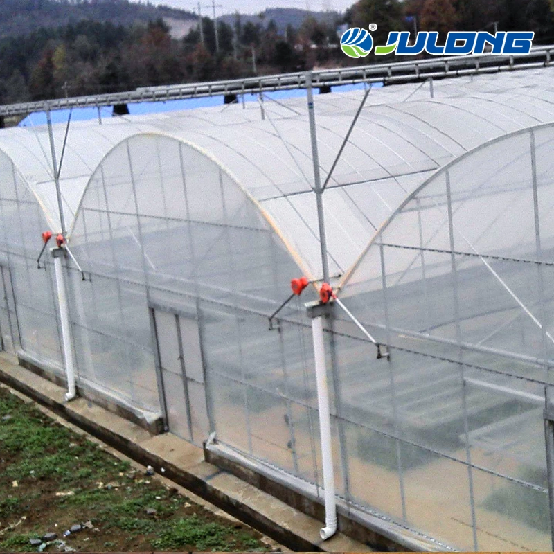 Commercial Hydroponic Greenhouses Multi Span Agricultural Green House for Vegetables Flower Fruits Tomato Strawberry Pepper Eggplant Garden