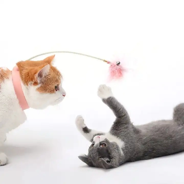 Wearable Spring Funny Cat Stick 1 New Pet Products Portable Pet Cats Chase Toys Pet Toys