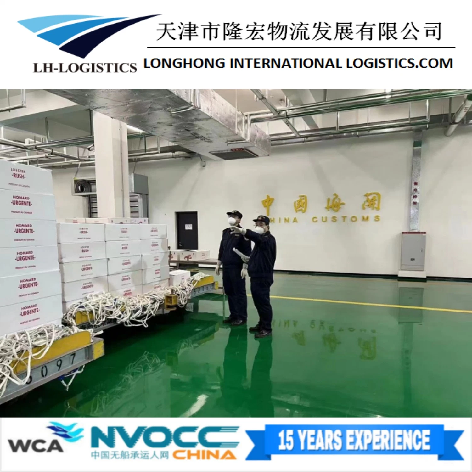 Local Shipping Agent in Tianjin/Shanghai/Qingdao/Shenzhen Customs Clearance 1688