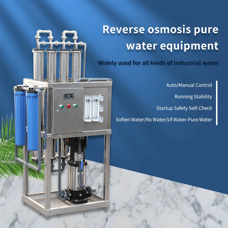 Compact Reverse Osmosis Purification System 250lph 500lph 1000lph Mr-RO1-500