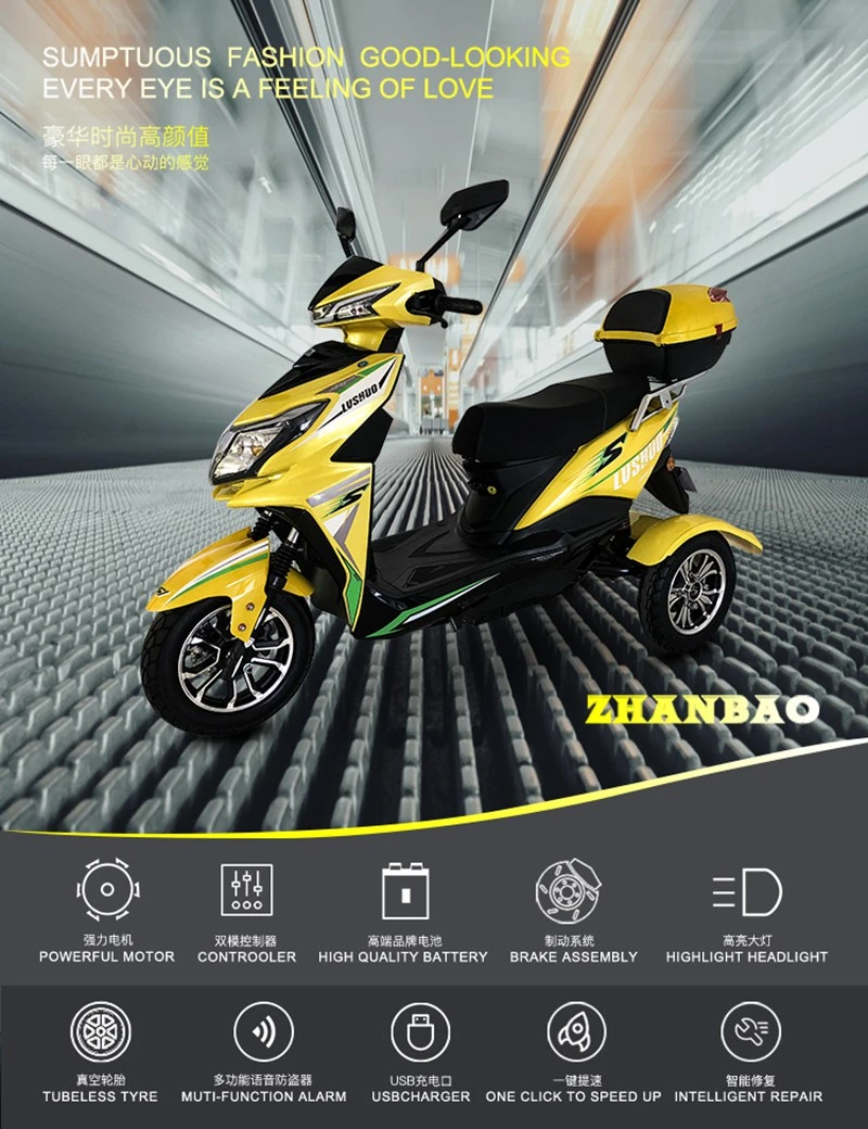 Trois 5000 W Moto Vélo 2 Tricycles permanent Roues vélo de dérive de la cabine Cabine fermée 3 roues scooter Cargo Tricycle électrique le mieux pour la livraison