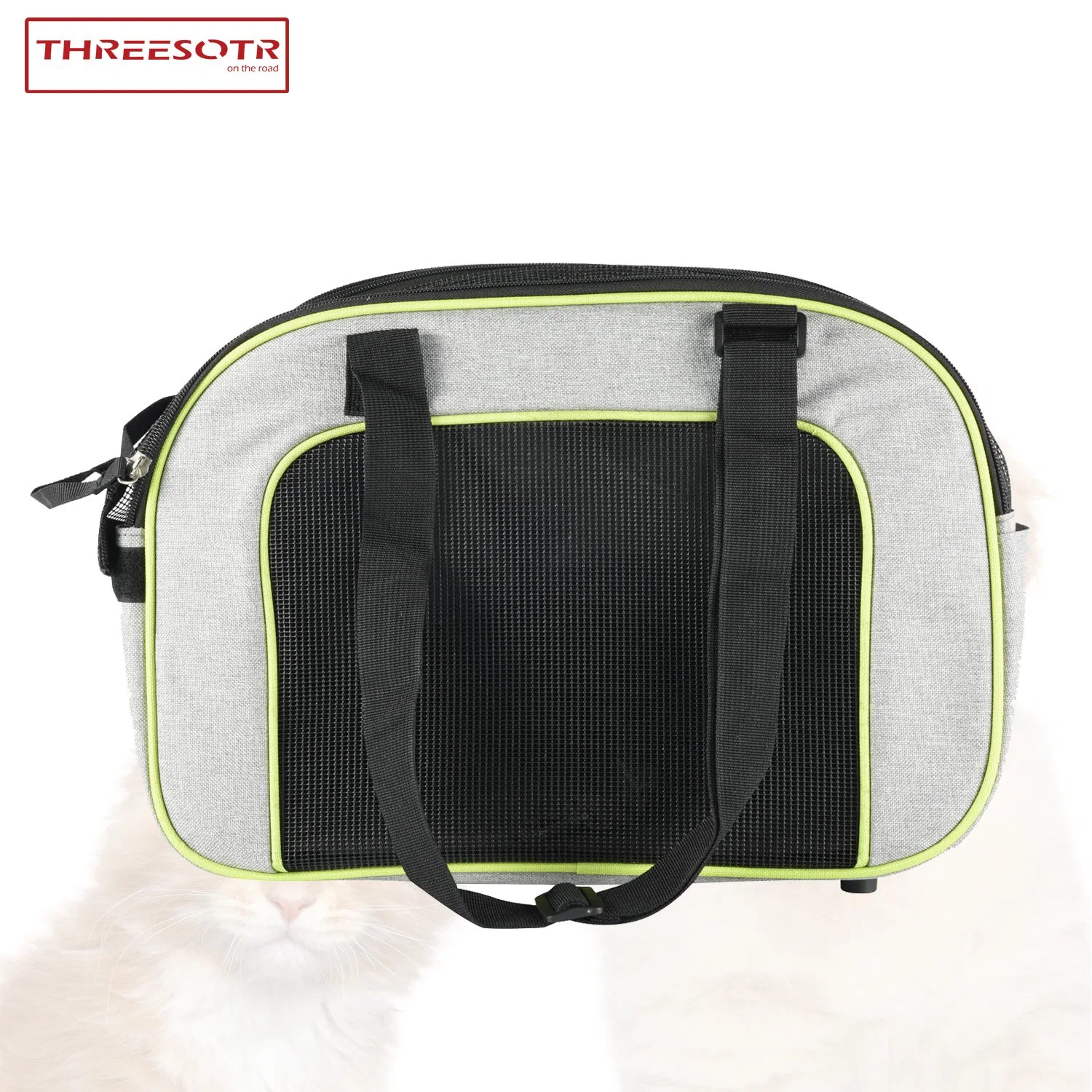 Small Pet Dog Travel Carrier Bag