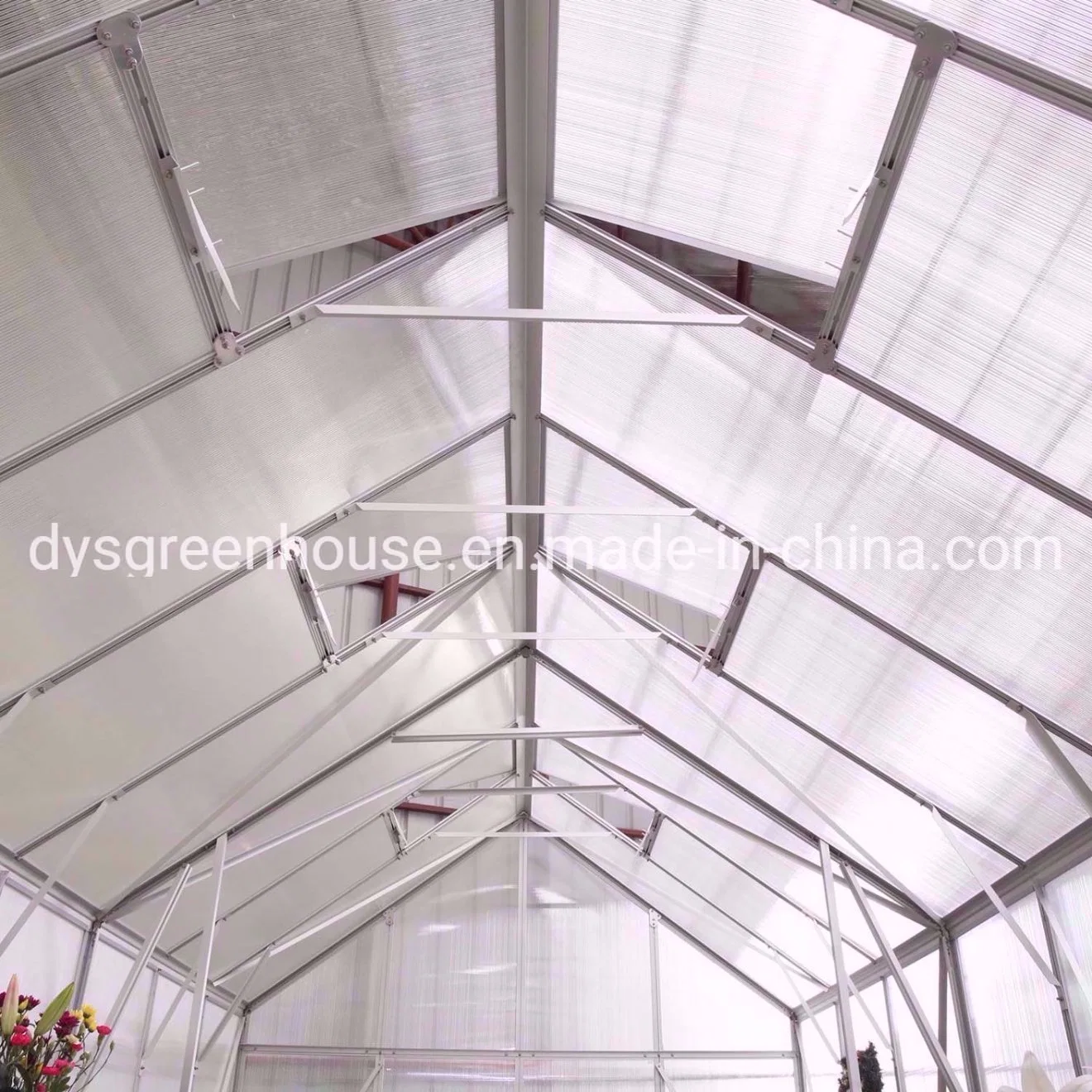 Modern Home Design Hobby Aluminium Polycarbonate Garden Greenhouses for Sale (RDGA0814-6mm)