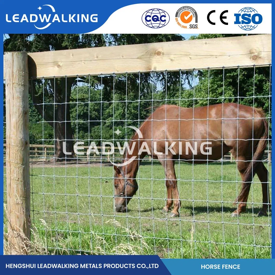 Leadwalking Metal Livestock Fencing OEM Customized Cattle Fence 4X4 Manufacturers China 0.8-2.5 Height 3 Rail White Vinyl Horse Fence Wire Mesh