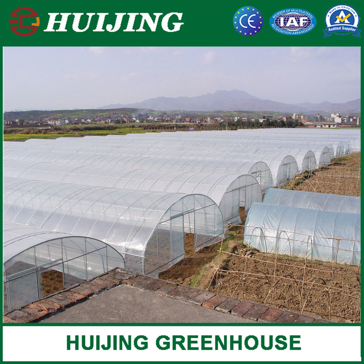 Economical Single Span Tunnel Greenhouse for Vegetables Fruits Flowers