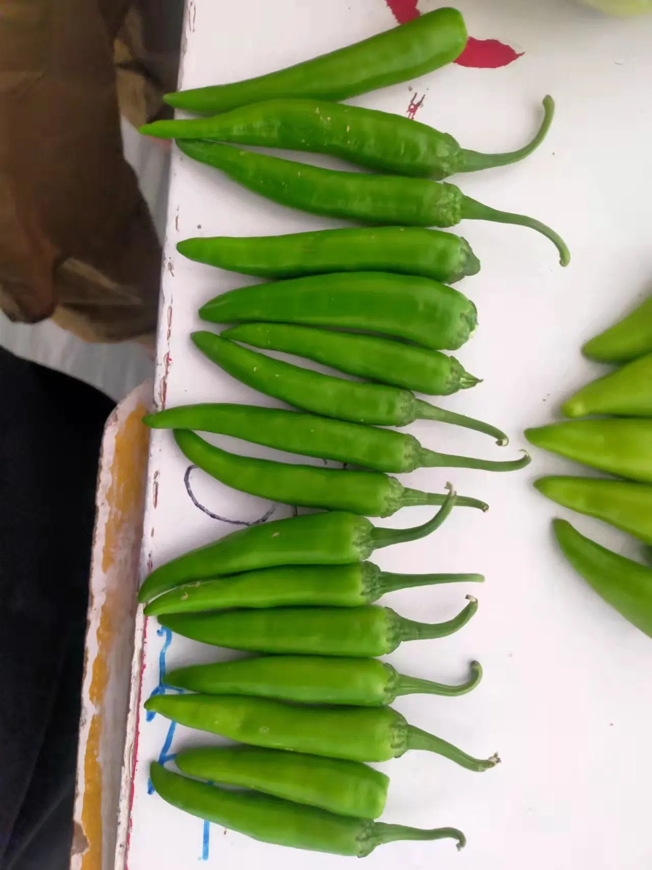 HD Capsicum Verde polpa espessa Chili Pepper sementes de excelent Definição de fruta