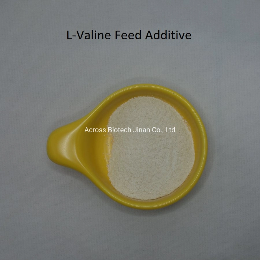 L-Leucine L-Valine L-Isoleucine with Attractive Price