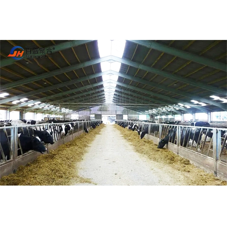 Low Cost Livestock Shed Prefabricated Steel Structure Cow House