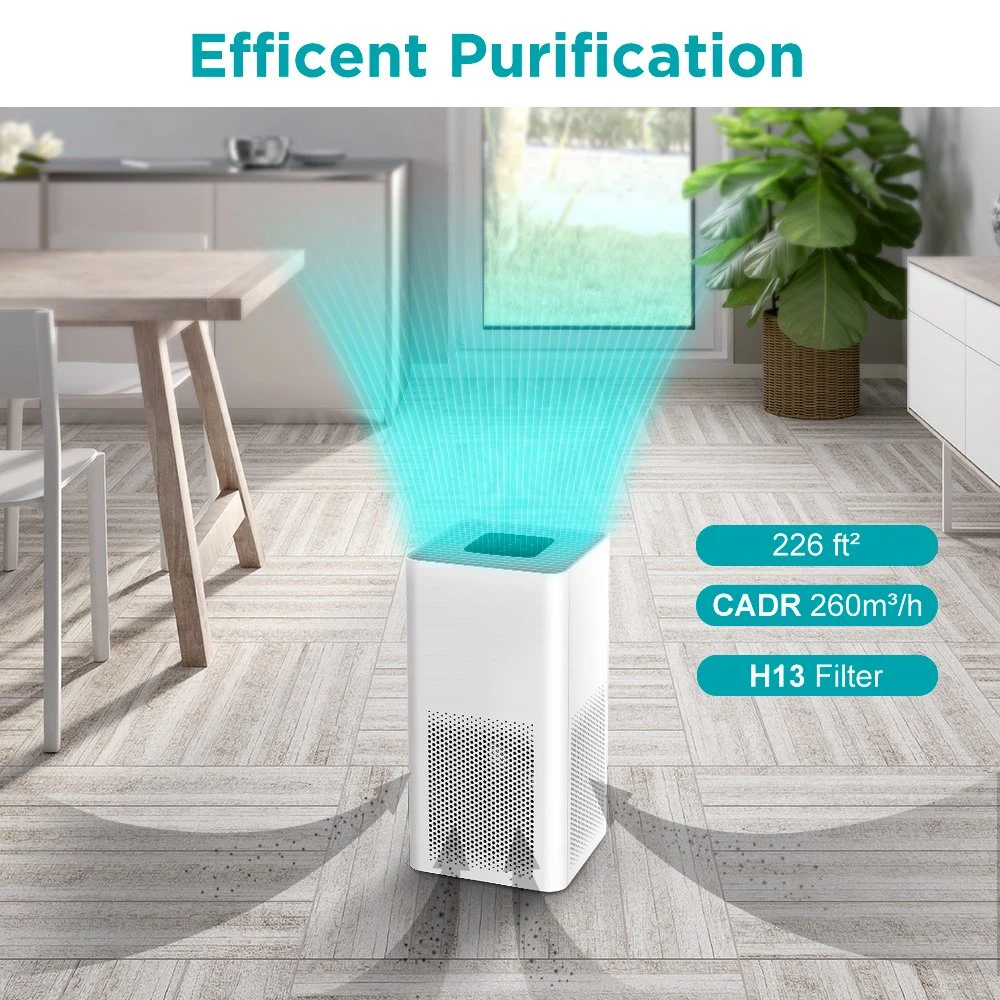 Air de la pièce de filtration HEPA portable à détection de poussière fine de la maison moderne Nettoyant purificateur