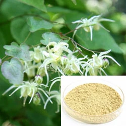 Epimedium Brevicornum Horny Goat Weed Extract Icariin Powder Herbal Extract