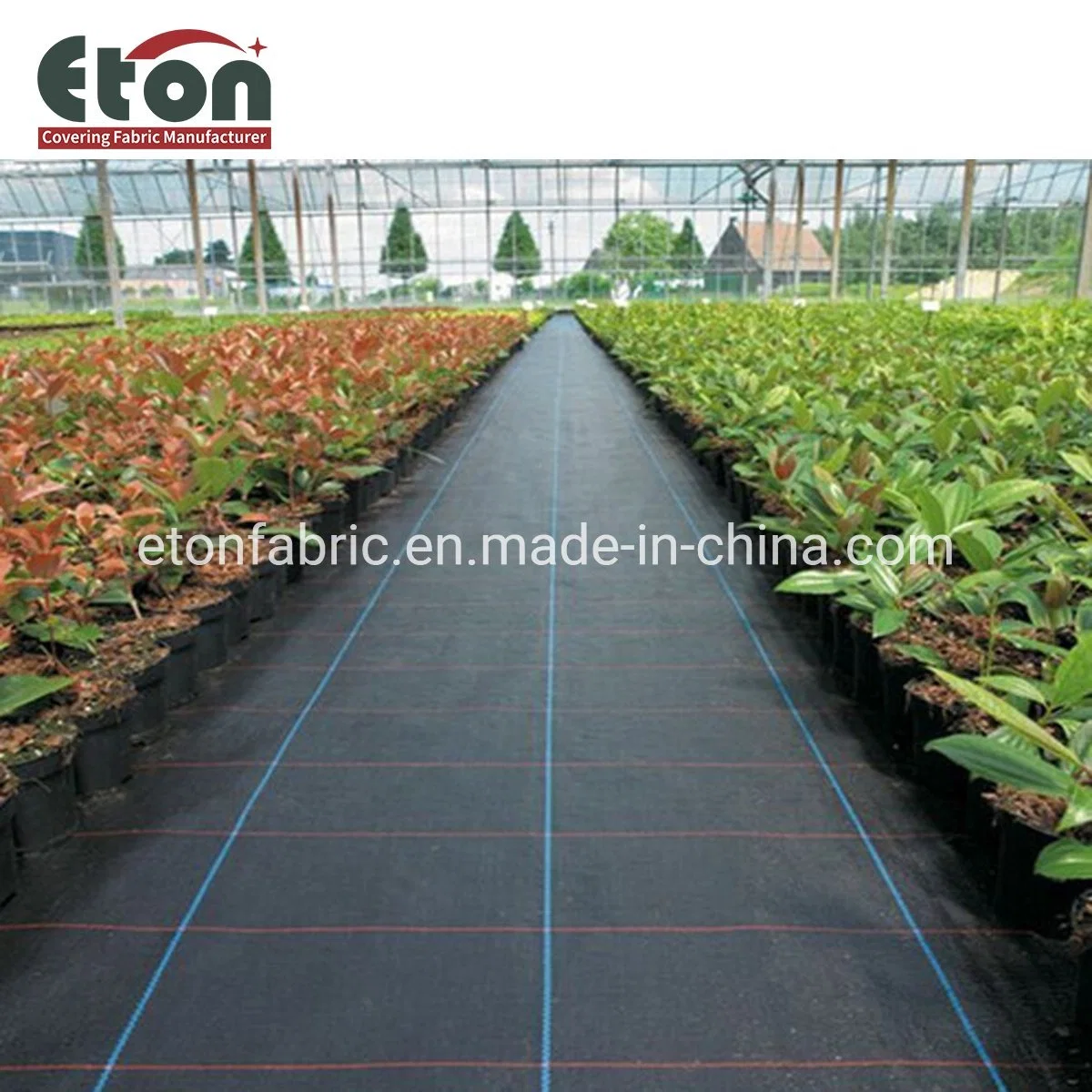 Polypropylene/PP Woven Black Color with Green Line Weed Control Mulch Mats for Agricultural Covering