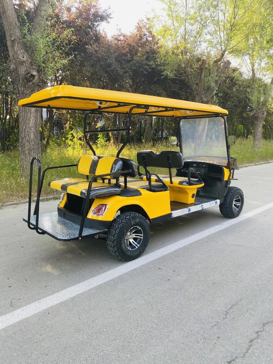 Non-Polluting Sightseeing Electric Golf Car