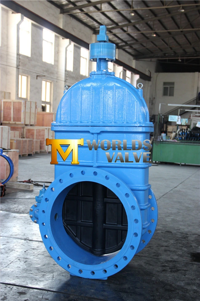 Ductile Iron Rubber Coated Gate Valve for Water Pipeline