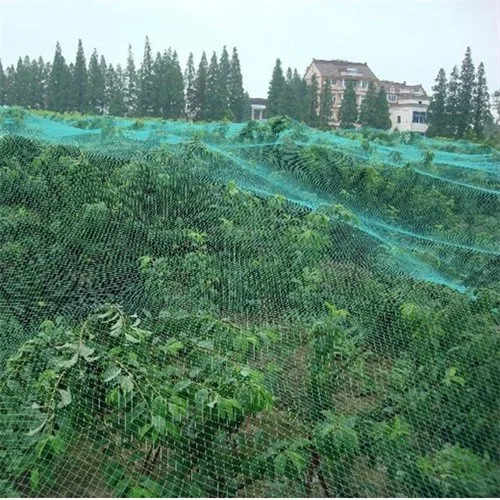 Bird Netting Heavy Duty Nylon 3/4" Mesh Garden Netting Protect Fruit Trees, Plants and Vegetables
