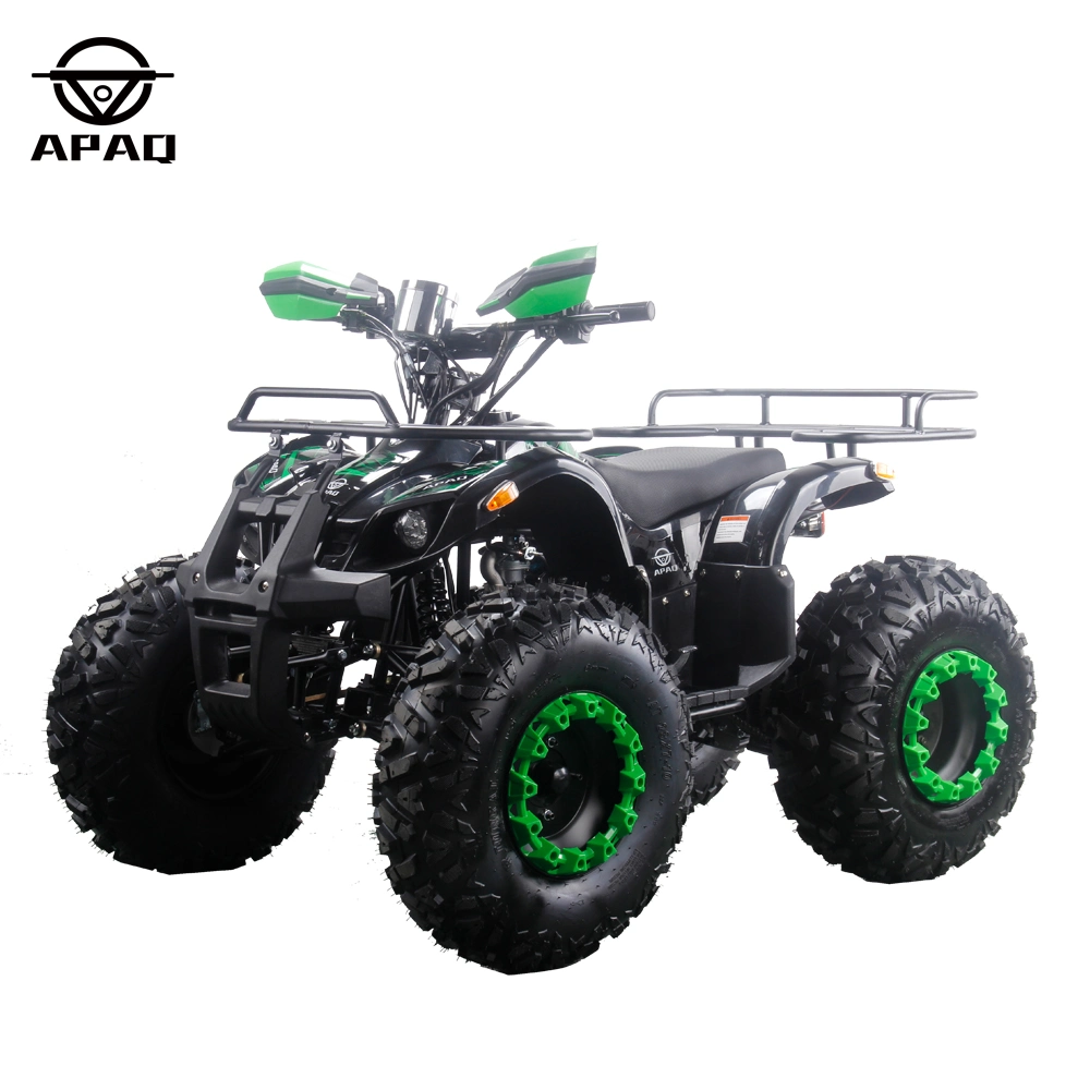 Apq125-5 with CE 125cc Powerful Gasoline ATV Electric Start Quads