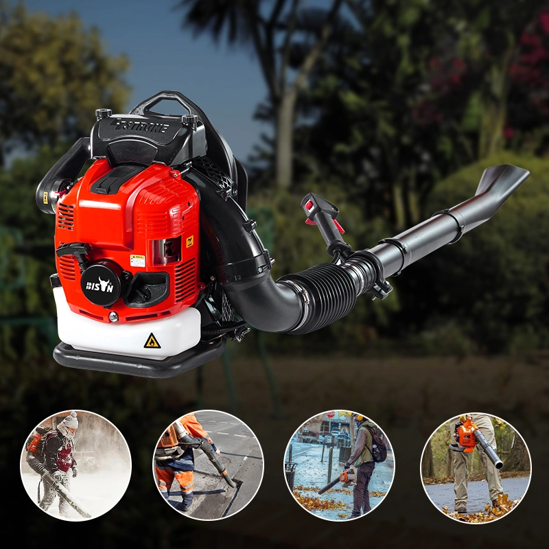 Bison 63cc Knapsack Gasoline Powered Backpack Leaf Blower, Petrol Snow Blower