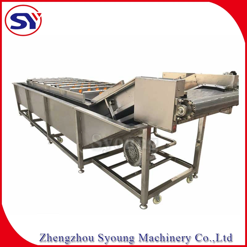 Fruit/Vegetable Washing Cleaning and Drying Machine Dates Palm Washer Equipment