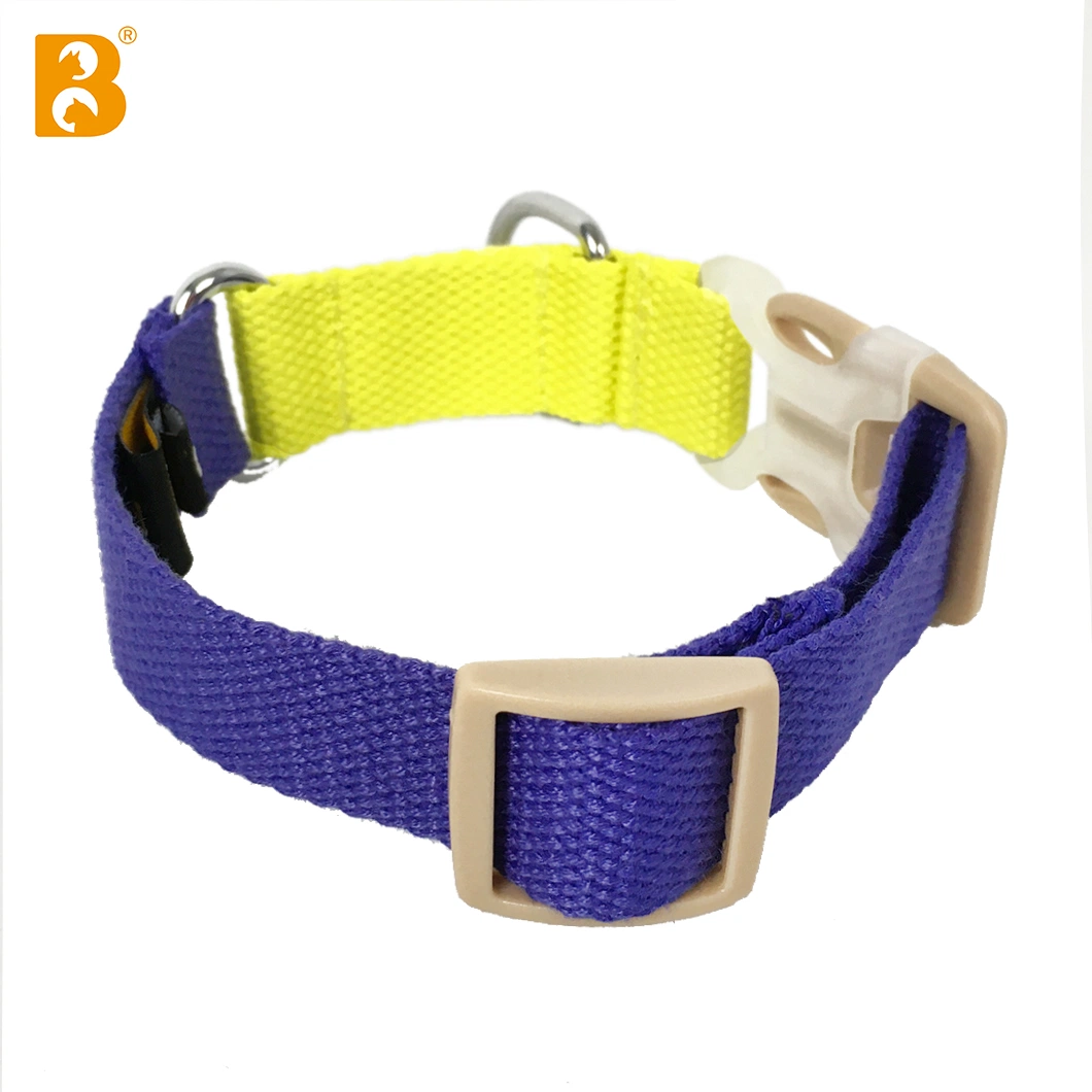 2023 New Design Contrast Color Buckle Dog Collar