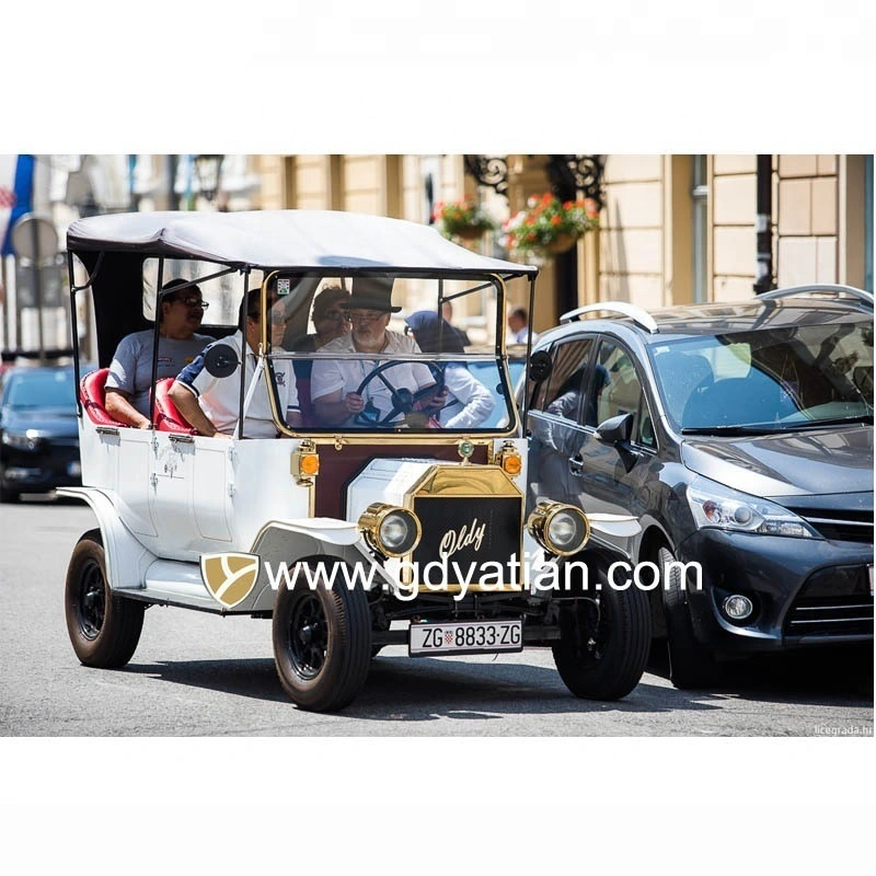 Coche eléctrico de alta velocidad China Turismo automóvil Modelo T con puertas