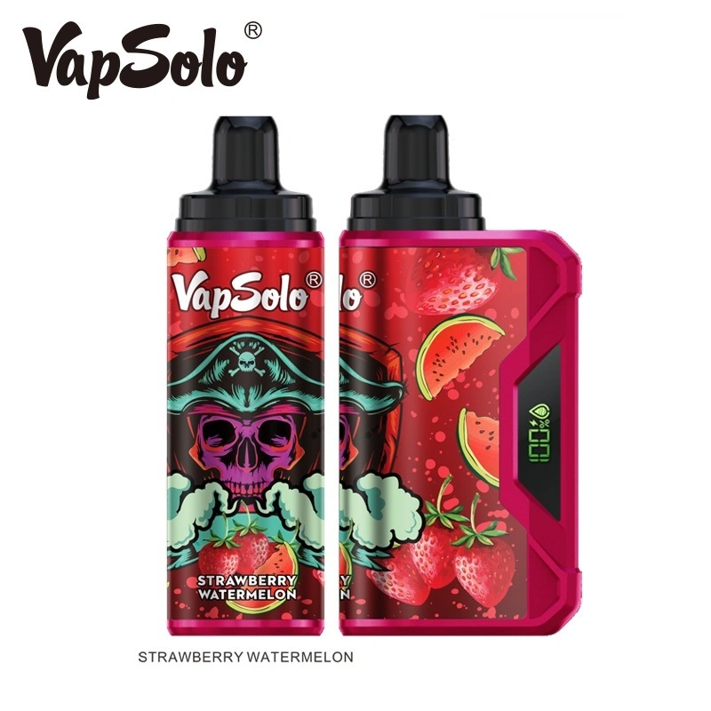 10 ароматов Оптовая торговля VVapSolo Viking Mini Electronic Cigarette Цена Veiik 10000 никотин Liquid Randm 12000