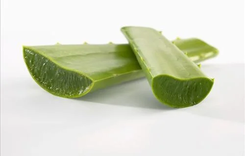 Aloe Vera Extrakt Versorgung Pulver Aloe Vera Trockenextrakt Lyophilisiert