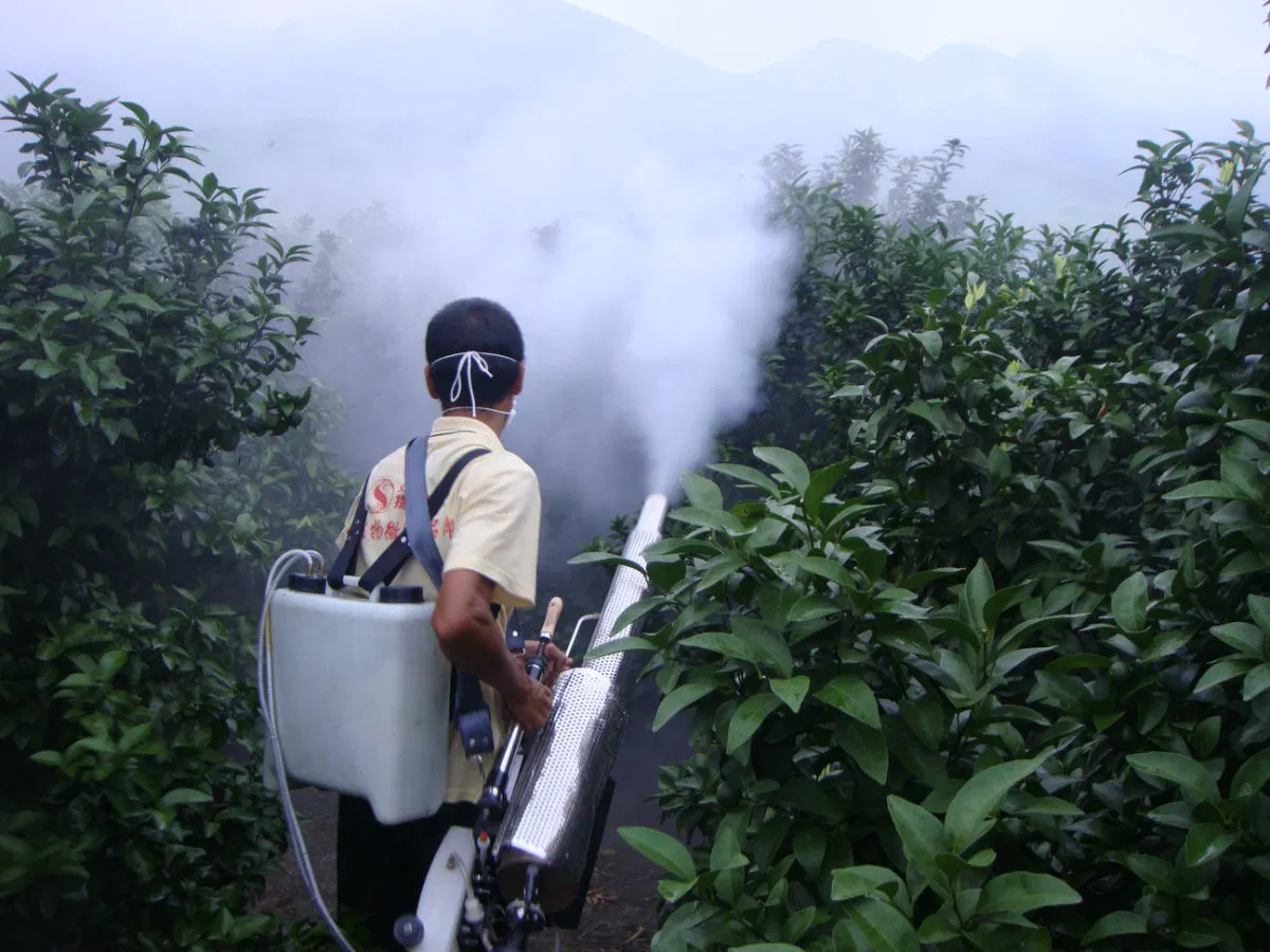 Sac à dos de l'alimentation stérilisateur spray désinfectant du pulvérisateur Fogger Mosquito la formation de buée machine thermique