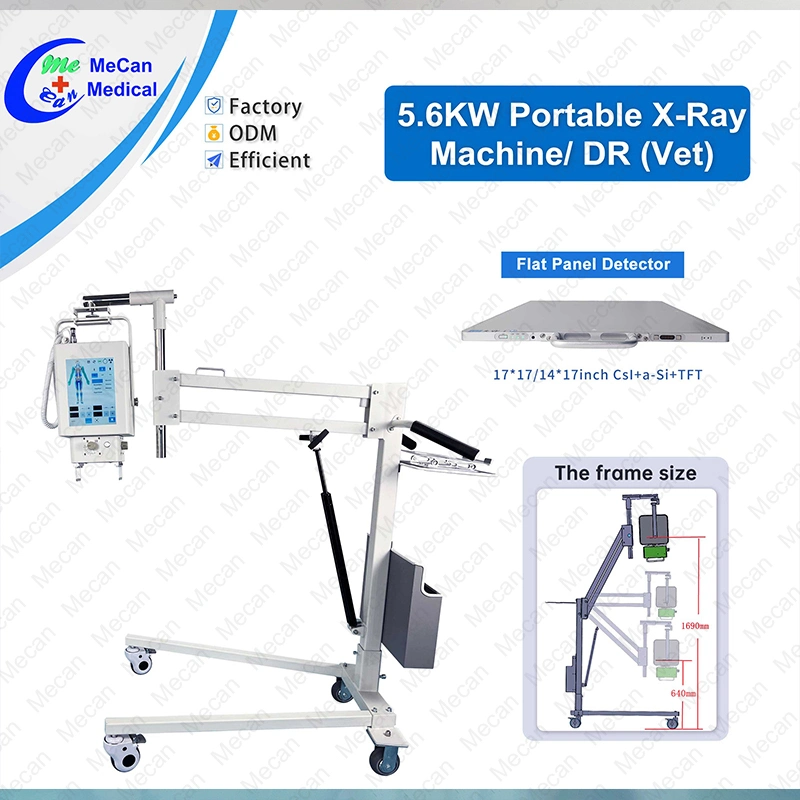Veterinary Human Portable Mobile Radiography Machine Dr Digital X-ray Machine for Hospital
