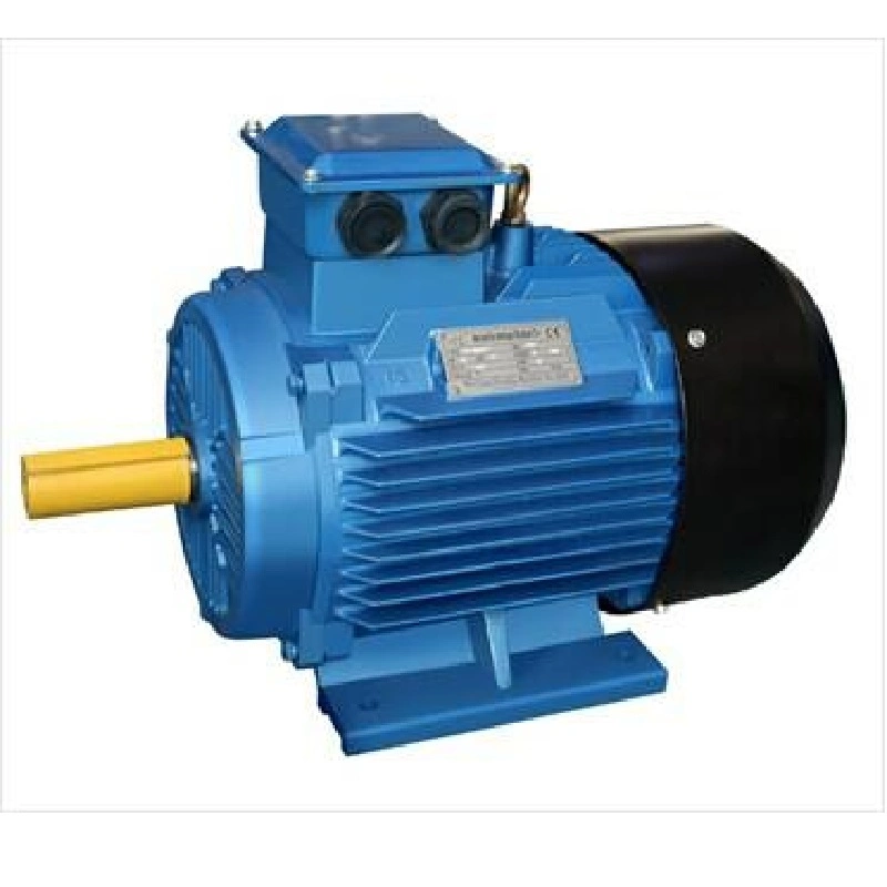 IEC (IE3/IE2/IE1) Ye2-100L2-4 (3KW/4HP) 1410rpm, el ahorro de energía de 220V-760V 3la fase de inducción AC Motor eléctrico para la bomba centrífuga de personalización de las máquinas de ventiladores