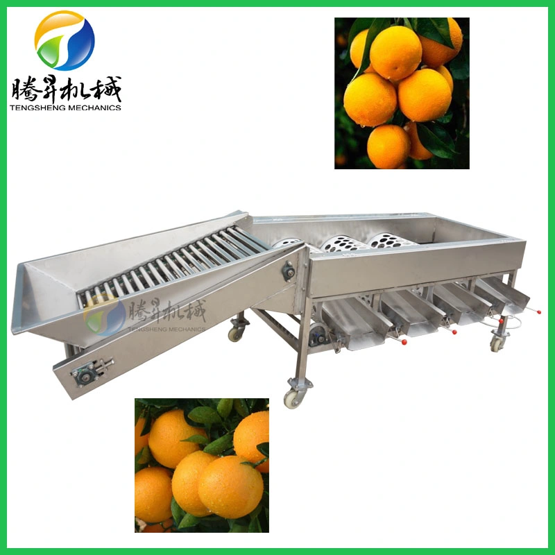 Automatic Vegetable Fruit Apple Grading Equipment Size Sorting Machine Ts-Fs250