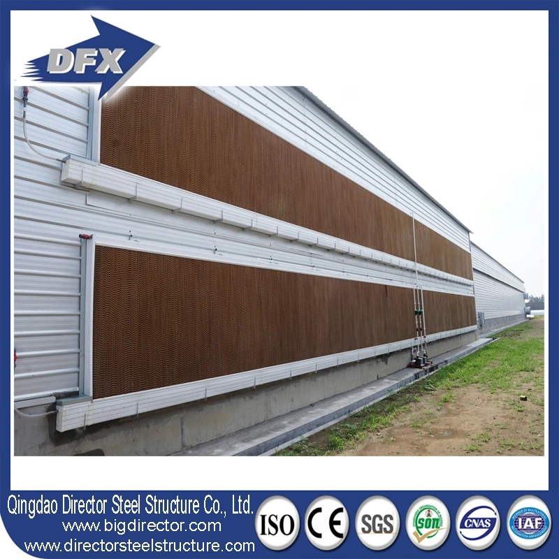 Dfx Steel Structure Chicken Shed Building Controlled Poultry Farms