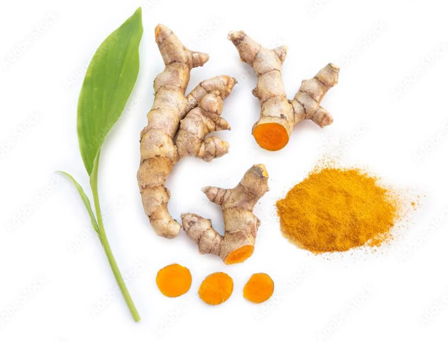 جودة عالية 95% كورمون Turmeric Extract Powder Curcuma Longa Root استخراج مسحوق مصنع بالجملة