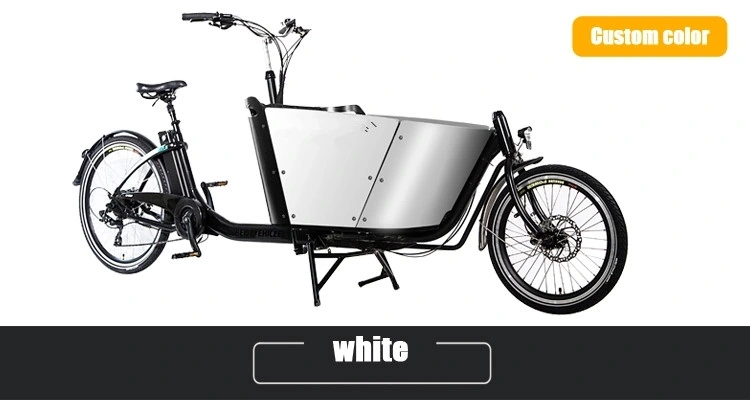 Made in China 250W with CE Certificate Two Wheel Electric Cargo Bike