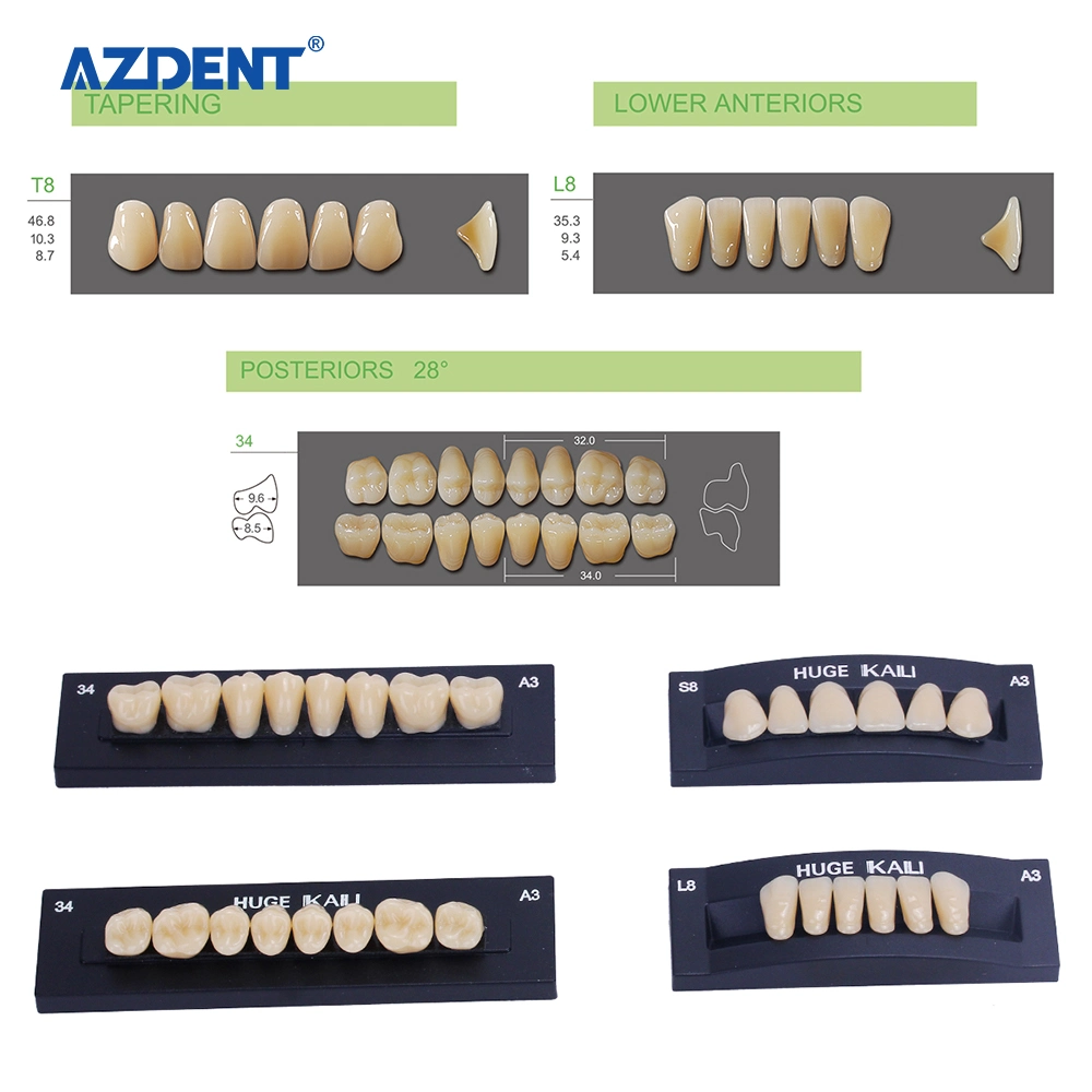 Los dientes de resina de polímero sintético dental