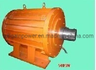 300W-1000kw Horizontal Axis Wind Generator/Permanent Magnet Generator